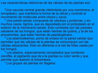 Las características distintivas de las células de las plantas son: *Una vacuola central grande (delimitada por una membrana, el tonoplasto), que mantiene la forma de la célula y controla el movimiento de moléculas entre citosol y savia. * Una pared celular compuesta de celulosa y proteínas, y en muchos casos, lignina, que es depositada por el protoplasto en el exterior de la membrana celular. Esto contrasta con las paredes celulares de los hongos, que están hechas de quitina, y la de los procariontes, que están hechas de peptidoglicano. * Los plasmodesmos, poros de enlace en la pared celular que permiten que las células de la plantas se comuniquen con las células adyacentes. Esto es diferente a la red de hifas usada por los hongos. * Los plastos, especialmente cloroplastos que contienen clorofila, el pigmento que da a la plantas su color verde y que permite que realicen la fotosíntesis. * Los grupos de plantas sin flagelos  