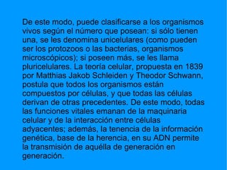 De este modo, puede clasificarse a los organismos vivos según el número que posean: si sólo tienen una, se les denomina unicelulares (como pueden ser los protozoos o las bacterias, organismos microscópicos); si poseen más, se les llama pluricelulares. La teoría celular, propuesta en 1839 por Matthias Jakob Schleiden y Theodor Schwann, postula que todos los organismos están compuestos por células, y que todas las células derivan de otras precedentes. De este modo, todas las funciones vitales emanan de la maquinaria celular y de la interacción entre células adyacentes; además, la tenencia de la información genética, base de la herencia, en su ADN permite la transmisión de aquélla de generación en generación. 