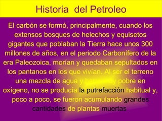 El carbón se formó, principalmente, cuando los extensos bosques de helechos y equisetos gigantes que poblaban la Tierra hace unos 300 millones de años, en el periodo Carbonífero de la era Paleozoica, morían y quedaban sepultados en los pantanos en los que vivían. Al ser el terreno una mezcla de agua y barro muy pobre en oxígeno, no se producía  la putrefacción  habitual y, poco a poco, se fueron acumulando  grandes cantidades  de plantas  muertas  