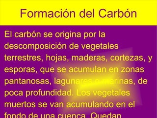 El carbón se origina por la descomposición de  vegetales  terrestres, hojas, maderas, cortezas, y  esporas , que se acumulan en zonas  pantanosas ,  lagunares  o  marinas , de poca profundidad. Los vegetales muertos se van acumulando en el fondo de una cuenca. Quedan cubiertos de  agua  y, por lo tanto, protegidos del  aire  que los destruiría.  