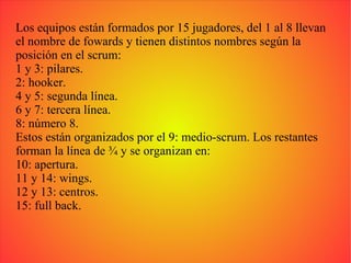 Los equipos están formados por 15 jugadores, del 1 al 8 llevan el nombre de fowards y tienen distintos nombres según la posición en el scrum: 1 y 3: pilares. 2: hooker. 4 y 5: segunda línea. 6 y 7: tercera línea. 8: número 8. Estos están organizados por el 9: medio-scrum. Los restantes forman la línea de ¾ y se organizan en: 10: apertura. 11 y 14: wings. 12 y 13: centros. 15: full back. 