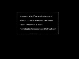 Imagens:  http://www.primates.com/ Música: Loreena Mckennitt - Prologue Texto: Procura-se o autor Formatação:  [email_address] 