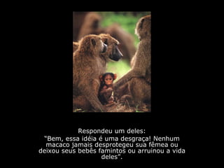 Respondeu um deles: “ Bem, essa idéia é uma desgraça! Nenhum macaco jamais desprotegeu sua fêmea ou deixou seus bebês famintos ou arruinou a vida deles”. 