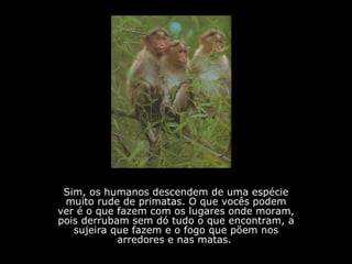 Sim, os humanos descendem de uma espécie muito rude de primatas. O que vocês podem ver é o que fazem com os lugares onde moram, pois derrubam sem dó tudo o que encontram, a sujeira que fazem e o fogo que põem nos arredores e nas matas.   