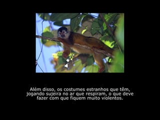 Além disso, os costumes estranhos que têm, jogando sujeira no ar que respiram, o que deve fazer com que fiquem muito violentos. 