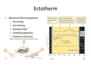 Ectotherm Behavioral thermoregulation Burrowing Sun basking Seeking shade  Climbing vegetation Position orientation 