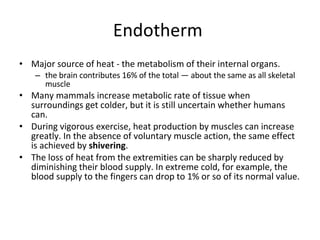 Endotherm  Major source of heat - the metabolism of their internal organs.  the brain contributes 16% of the total — about the same as all skeletal muscle Many mammals increase metabolic rate of tissue when surroundings get colder, but it is still uncertain whether humans can.  During vigorous exercise, heat production by muscles can increase greatly. In the absence of voluntary muscle action, the same effect is achieved by  shivering .  The loss of heat from the extremities can be sharply reduced by diminishing their blood supply. In extreme cold, for example, the blood supply to the fingers can drop to 1% or so of its normal value. 