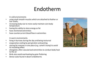 Endotherm  In cold environments using small smooth muscles which are attached to feather or hair shafts; increasing body size to more easily maintain core body temperature  having the ability to store energy as fat  have shortened extremities have countercurrent blood flow in extremities In warm environments living in burrows during the day and being nocturnal evaporative cooling by perspiration and panting storing fat reserves in one place (e.g. camel's hump) to avoid its insulating effect elongated, often vascularized extremities to conduct body heat to the air Birds also avoid overheating by gular fluttering  Dense coats found in desert endotherms 