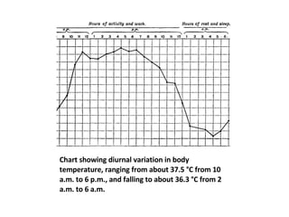Chart showing diurnal variation in body temperature, ranging from about 37.5 °C from 10 a.m. to 6 p.m., and falling to about 36.3 °C from 2 a.m. to 6 a.m. 