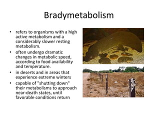 Bradymetabolism  refers to organisms with a high active metabolism and a considerably slower resting metabolism. often undergo dramatic changes in metabolic speed, according to food availability and temperature.  in deserts and in areas that experience extreme winters  capable of "shutting down" their metabolisms to approach near-death states, until favorable conditions return 
