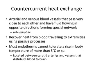 Countercurrent heat exchange Arterial and venous blood vessels that pass very close to each other and have fluid flowing in opposite directions forming special network rete mirabile. Recover heat from blood travelling to extremities using passive processes  Most endotherms cannot tolerate a rise in body temperature of more than 5°C or so.  Located between carotid arteries and vessels that distribute blood to brain 