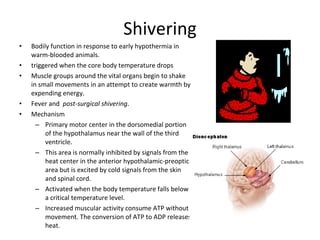 Shivering Bodily function in response to early hypothermia in warm-blooded animals.  triggered when the core body temperature drops  Muscle groups around the vital organs begin to shake in small movements in an attempt to create warmth by expending energy.  Fever and  post-surgical shivering . Mechanism Primary motor center in the dorsomedial portion of the hypothalamus near the wall of the third ventricle.  This area is normally inhibited by signals from the heat center in the anterior hypothalamic-preoptic area but is excited by cold signals from the skin and spinal cord.  Activated when the body temperature falls below a critical temperature level. Increased muscular activity consume ATP without movement. The conversion of ATP to ADP releases heat. 