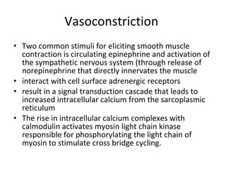 Vasoconstriction  Two common stimuli for eliciting smooth muscle contraction is circulating epinephrine and activation of the sympathetic nervous system (through release of norepinephrine that directly innervates the muscle interact with cell surface adrenergic receptors result in a signal transduction cascade that leads to increased intracellular calcium from the sarcoplasmic reticulum The rise in intracellular calcium complexes with calmodulin activates myosin light chain kinase responsible for phosphorylating the light chain of myosin to stimulate cross bridge cycling. 