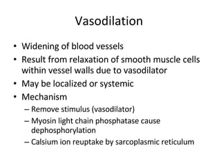Vasodilation  Widening of blood vessels Result from relaxation of smooth muscle cells within vessel walls due to vasodilator May be localized or systemic Mechanism  Remove stimulus (vasodilator) Myosin light chain phosphatase cause dephosphorylation Calsium ion reuptake by sarcoplasmic reticulum  