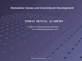 Homeobox Genes and Craniofacial Development
www.indiandentalacademy.comwww.indiandentalacademy.com
INDIAN DENTAL ACADEMY
Leader in continuing dental education
www.indiandentalacademy.com
 