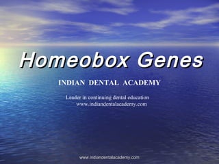 Homeobox GenesHomeobox Genes
INDIAN DENTAL ACADEMY
Leader in continuing dental education
www.indiandentalacademy.com
www.indiandentalacademy.comwww.indiandentalacademy.com
 