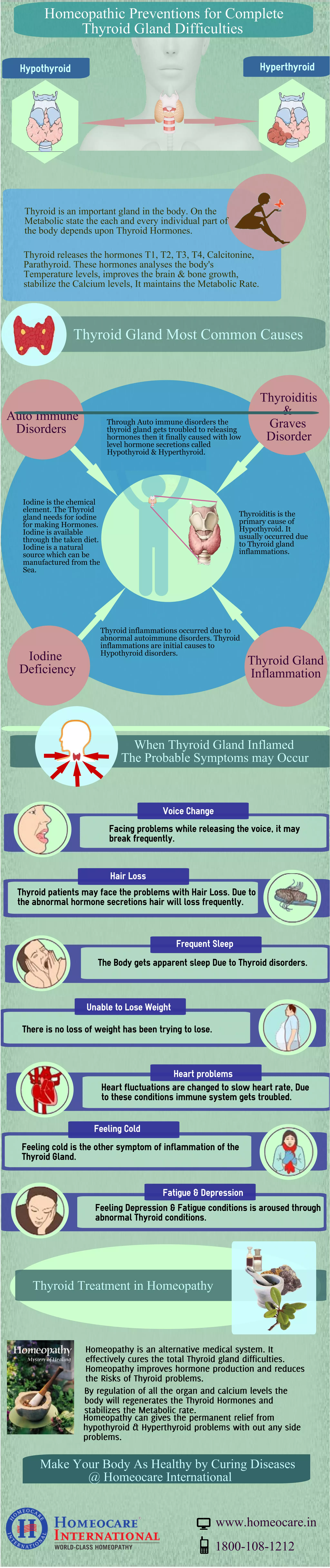 Thyroid is an important gland in the body. On the
Metabolic state the each and every individual part of
the body depends upon Thyroid Hormones.
Thyroid releases the hormones T1, T2, T3, T4, Calcitonine,
Parathyroid. These hormones analyses the body's
Temperature levels, improves the brain & bone growth,
stabilize the Calcium levels, It maintains the Metabolic Rate.
The Body gets apparent sleep Due to Thyroid disorders.
Thyroid patients may face the problems with Hair Loss. Due to
the abnormal hormone secretions hair will loss frequently.
Facing problems while releasing the voice, it may
break frequently.
There is no loss of weight has been trying to lose.
Heart fluctuations are changed to slow heart rate, Due
to these conditions immune system gets troubled.
Feeling cold is the other symptom of inflammation of the
Thyroid Gland.
Feeling Depression & Fatigue conditions is aroused through
abnormal Thyroid conditions.
Through Auto immune disorders the
thyroid gland gets troubled to releasing
hormones then it finally caused with low
level hormone secretions called
Hypothyroid & Hyperthyroid.
Thyroiditis is the
primary cause of
Hypothyroid. It
usually occurred due
to Thyroid gland
inflammations.
Thyroid inflammations occurred due to
abnormal autoimmune disorders. Thyroid
inflammations are initial causes to
Hypothyroid disorders.
Iodine is the chemical
element. The Thyroid
gland needs for iodine
for making Hormones.
Iodine is available
through the taken diet.
Iodine is a natural
source which can be
manufactured from the
Sea.
Hypothyroid Hyperthyroid
Homeopathy is an alternative medical system. It
effectively cures the total Thyroid gland difficulties.
Homeopathy improves hormone production and reduces
the Risks of Thyroid problems.
By regulation of all the organ and calcium levels the
body will regenerates the Thyroid Hormones and
stabilizes the Metabolic rate.
Homeopathy can gives the permanent relief from
hypothyroid & Hyperthyroid problems with out any side
problems.
Voice Change
Hair Loss
Frequent Sleep
Unable to Lose Weight
Heart problems
Feeling Cold
Fatigue & Depression
 