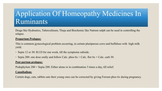 Homeopathy and it's application in veterinary medicine | PPTX