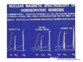 Body Wellness Programs & Services
516-410-3700, drkamhi@bodywellness.com
 