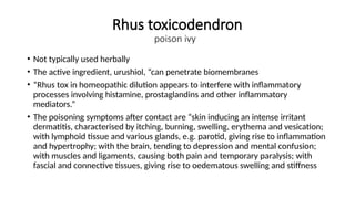 Rhus toxicodendron
poison ivy
• Not typically used herbally
• The active ingredient, urushiol, “can penetrate biomembranes
• “Rhus tox in homeopathic dilution appears to interfere with inflammatory
processes involving histamine, prostaglandins and other inflammatory
mediators.”
• The poisoning symptoms after contact are “skin inducing an intense irritant
dermatitis, characterised by itching, burning, swelling, erythema and vesication;
with lymphoid tissue and various glands, e.g. parotid, giving rise to inflammation
and hypertrophy; with the brain, tending to depression and mental confusion;
with muscles and ligaments, causing both pain and temporary paralysis; with
fascial and connective tissues, giving rise to oedematous swelling and stiffness
 
