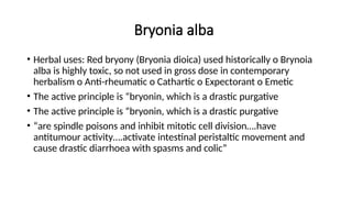 Bryonia alba
• Herbal uses: Red bryony (Bryonia dioica) used historically o Brynoia
alba is highly toxic, so not used in gross dose in contemporary
herbalism o Anti-rheumatic o Cathartic o Expectorant o Emetic
• The active principle is “bryonin, which is a drastic purgative
• The active principle is “bryonin, which is a drastic purgative
• “are spindle poisons and inhibit mitotic cell division….have
antitumour activity….activate intestinal peristaltic movement and
cause drastic diarrhoea with spasms and colic”
 