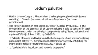 Ledum palustre
• Herbal Uses o Coughs o Rheumatism o Whooping cough o Emetic (cause
vomiting) o Diuretic (increase urination) o Diaphoretic (increase
perspiration)
• The flowers contain an anti-septic oil, ‘ledol’ (Gibson, 1991, p.307) o The
composition of the essential oil of Ledum palustre is said to contain “in total,
80 components…with the principal components being “ledol, palustrol and
myrtenal” (Tattje & Bos, 1981, pp.303-307)
• o Extracts of leaves and twigs from the Ledum genus have shown “a strong
antioxidant activity” “.. significant antiinflammatory activity, inhibiting NO
(nitric oxide) release” (Dufour D et al, 2007, pp.22-28)
• o “Ledol exhibits intoxicant and narcotic properties”
 