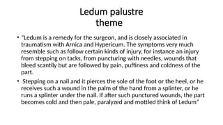 Ledum palustre
theme
• “Ledum is a remedy for the surgeon, and is closely associated in
traumatism with Arnica and Hypericum. The symptoms very much
resemble such as follow certain kinds of injury, for instance an injury
from stepping on tacks, from puncturing with needles, wounds that
bleed scantily but are followed by pain, puffiness and coldness of the
part.
• Stepping on a nail and it pierces the sole of the foot or the heel, or he
receives such a wound in the palm of the hand from a splinter, or he
runs a splinter under the nail. If after such punctured wounds, the part
becomes cold and then pale, paralyzed and mottled think of Ledum”
 
