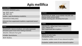 Mind
PASSIONATE, intense emotions, not easily expressed.
Simulates good mood when feeling wretched.
JEALOUS. Ailments from grief.
Irritable. Quarrelsome.
BUSY. Restless.
Generalities
STINGING, BURNING pains.
agg. HEAT; touch.
agg. Right side.
Sudden, rapid developing complaints.
EDEMATOUS SWELLINGS.
Ailments from suppressed eruptions, suppressed sexual
desire.
Urinary
RETENTION OF URINE. Acute KIDNEY FAILURE with
EDEMA OVER WHOLE BODY.
Cystitis: burning pain. Shrieking from pain.
HEAD
MENINGITIS: rolling head, bores occiput in
pillow, BRAIN CRY,
after suppressed skin eruptions.
SKIN
EDEMA of entire body.
Transparent, waxy.
Erysipelas: sudden onset of rose coloured eruption
Erysipelas: sudden onset of rose coloured eruption
Apis mellifica
 