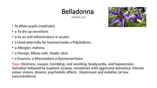 Belladonna
herbal use
• To dilate pupils (mydriatic)
• o To dry up secretions
• o As an anti-inflammatory in acutes
• o Used externally for haemorrhoids o Palpitations.
• o Allergies. Asthma.
• o Mumps. Biliary colic. Peptic ulcer.
• o Enuresis. o Rheumatism o Dysmenorrhoea
Toxic: Dizziness, nausea, trembling, and vomiting, bradycardia, and hypotension.
Salivation followed by euphoric ecstasy, sometimes with aggressive behaviour. Intense
colour visions, dreams, psychedelic effects. Depressant and sedative (at low
concentrations)
 