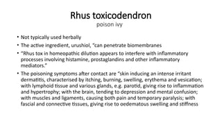 Rhus toxicodendron
poison ivy
• Not typically used herbally
• The active ingredient, urushiol, “can penetrate biomembranes
• “Rhus tox in homeopathic dilution appears to interfere with inflammatory
processes involving histamine, prostaglandins and other inflammatory
mediators.”
• The poisoning symptoms after contact are “skin inducing an intense irritant
dermatitis, characterised by itching, burning, swelling, erythema and vesication;
with lymphoid tissue and various glands, e.g. parotid, giving rise to inflammation
and hypertrophy; with the brain, tending to depression and mental confusion;
with muscles and ligaments, causing both pain and temporary paralysis; with
fascial and connective tissues, giving rise to oedematous swelling and stiffness
 