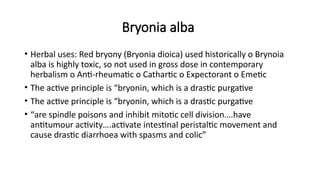 Bryonia alba
• Herbal uses: Red bryony (Bryonia dioica) used historically o Brynoia
alba is highly toxic, so not used in gross dose in contemporary
herbalism o Anti-rheumatic o Cathartic o Expectorant o Emetic
• The active principle is “bryonin, which is a drastic purgative
• The active principle is “bryonin, which is a drastic purgative
• “are spindle poisons and inhibit mitotic cell division….have
antitumour activity….activate intestinal peristaltic movement and
cause drastic diarrhoea with spasms and colic”
 
