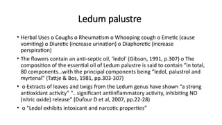 Ledum palustre
• Herbal Uses o Coughs o Rheumatism o Whooping cough o Emetic (cause
vomiting) o Diuretic (increase urination) o Diaphoretic (increase
perspiration)
• The flowers contain an anti-septic oil, ‘ledol’ (Gibson, 1991, p.307) o The
composition of the essential oil of Ledum palustre is said to contain “in total,
80 components…with the principal components being “ledol, palustrol and
myrtenal” (Tattje & Bos, 1981, pp.303-307)
• o Extracts of leaves and twigs from the Ledum genus have shown “a strong
antioxidant activity” “.. significant antiinflammatory activity, inhibiting NO
(nitric oxide) release” (Dufour D et al, 2007, pp.22-28)
• o “Ledol exhibits intoxicant and narcotic properties”
 