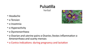 Pulsatilla
herbal
• Headache
• o Tension
• o Insomnia
• o Hyperactivity
• o Dysmenorrhoea
• o Ovarian and uterine pains o Ovaries /testes inflammation o
Amenorrhoea and scanty menses
• o Contra-indications: during pregnancy and lactation
 