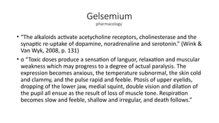 Gelsemium
pharmacology
• “The alkaloids activate acetycholine receptors, cholinesterase and the
synaptic re-uptake of dopamine, noradrenaline and serotonin.” (Wink &
Van Wyk, 2008, p. 131)
• o “Toxic doses produce a sensation of languor, relaxation and muscular
weakness which may progress to a degree of actual paralysis. The
expression becomes anxious, the temperature subnormal, the skin cold
and clammy, and the pulse rapid and feeble. Ptosis of upper eyelids,
dropping of the lower jaw, medial squint, double vision and dilation of
the pupil all ensue as the result of loss of muscle tone. Respiration
becomes slow and feeble, shallow and irregular, and death follows.”
 