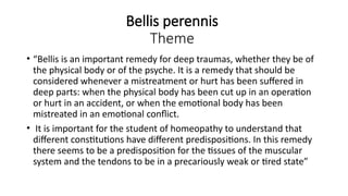 Bellis perennis
Theme
• “Bellis is an important remedy for deep traumas, whether they be of
the physical body or of the psyche. It is a remedy that should be
considered whenever a mistreatment or hurt has been suffered in
deep parts: when the physical body has been cut up in an operation
or hurt in an accident, or when the emotional body has been
mistreated in an emotional conflict.
• It is important for the student of homeopathy to understand that
different constitutions have different predispositions. In this remedy
there seems to be a predisposition for the tissues of the muscular
system and the tendons to be in a precariously weak or tired state”
 