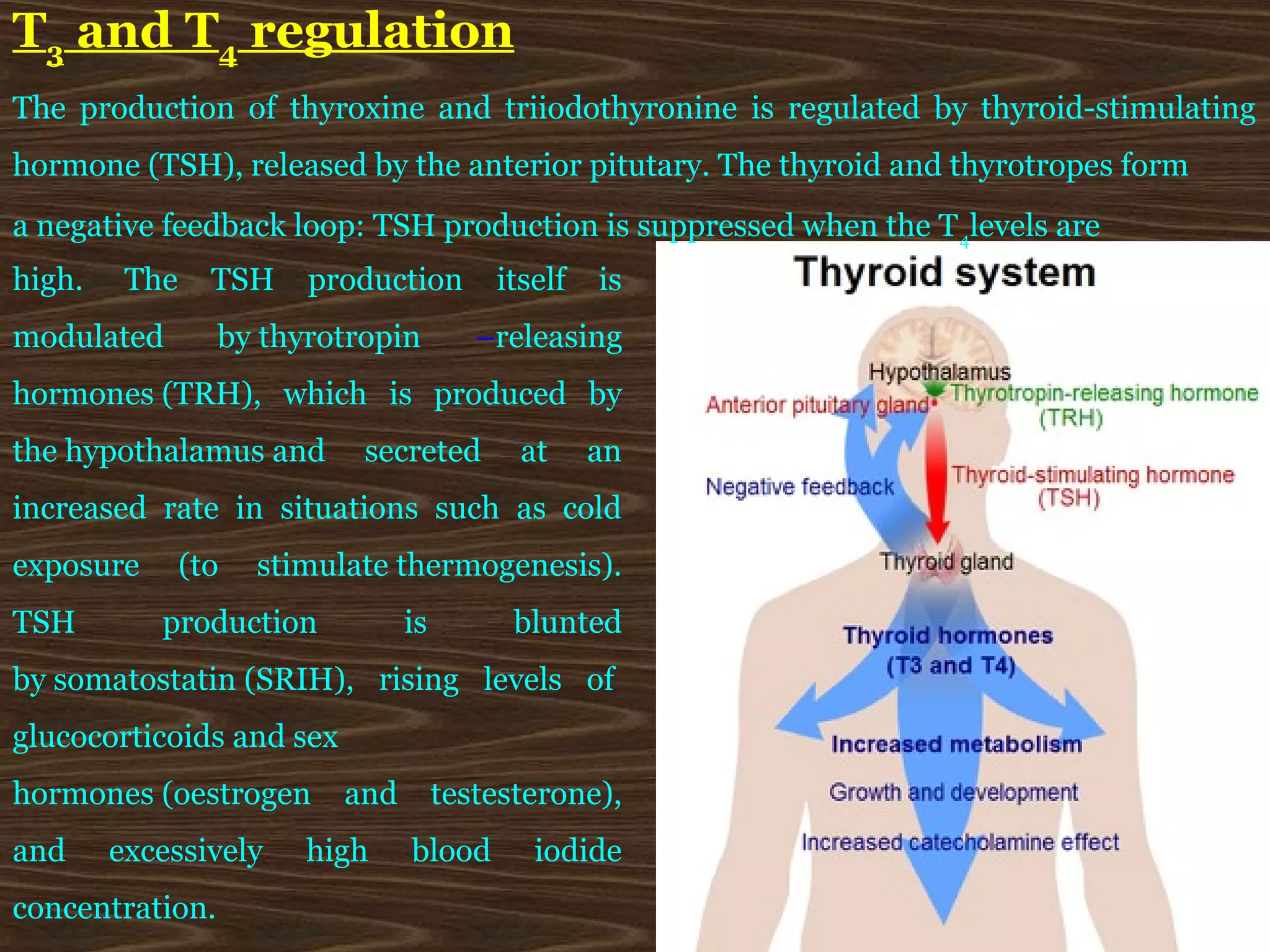 T3 and T4 regulation
The production of thyroxine and triiodothyronine is regulated by thyroid-stimulating
hormone (TSH), released by the anterior pitutary. The thyroid and thyrotropes form
a negative feedback loop: TSH production is suppressed when the T 4levels are
high.    The     TSH    production       itself   is
modulated        by thyrotropin         –releasing
hormones (TRH), which is produced by
the hypothalamus and        secreted       at     an
increased rate in situations such as cold
exposure       (to   stimulate thermogenesis).
TSH        production           is         blunted
by somatostatin (SRIH), rising levels of
glucocorticoids and sex
hormones (oestrogen       and        testesterone),
and     excessively     high    blood       iodide
concentration.
 