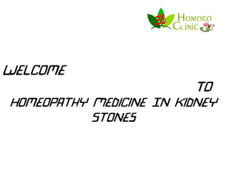 Welcome
To
Homeopathy Medicine In Kidney
Stones
 