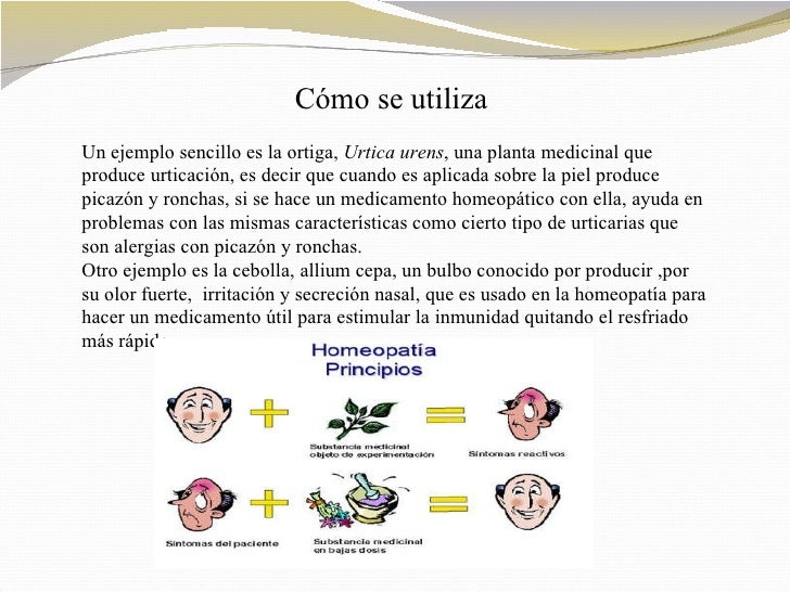 Homeopatia