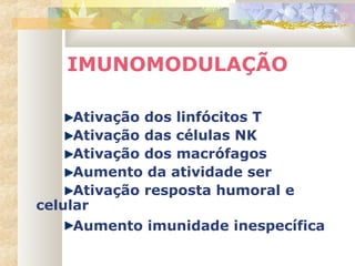 IMUNOMODULAÇÃO
Ativação dos linfócitos T
Ativação das células NK
Ativação dos macrófagos
Aumento da atividade ser
Ativação resposta humoral e
celular
Aumento imunidade inespecífica
 