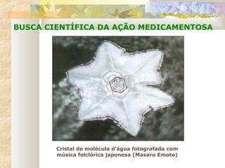 Cristal de molécula d’água fotografada com
música folclórica japonesa (Masaru Emoto)
BUSCA CIENTÍFICA DA AÇÃO MEDICAMENTOSA
 
