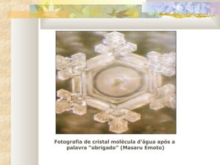 Fotografia de cristal molécula d’água após a
palavra “obrigado” (Masaru Emoto)
 