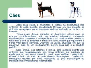 Cães Após essa etapa, a anamnese é focada na observação dos sintomas de sede, apetite, sensibilidade térmica, em que situação os sintomas se agravam ou se suavizam( deitado, andando, ao ar livre, no inverno). Todos esses dados, somados ao diagnóstico clínico mais os exames complementares, dão ao médico veterinário homeopata subsídios para prescrever a esse paciente o seu medicamento, que cobre toda essa gama de sintomas e traduz-se como aquele que equilibrará a Força Vital desse indivíduo. Ocorrem, às vezes, situações em que se prescreve mais de um medicamento, porém essa não é a conduta padrão. Esse animal, nos retornos à clínica, será avaliado quanto aos sintomas que desapareceram, aos novos sintomas que surgiram, às mudanças em seu comportamento, sendo essa análise o prognóstico clínico dinâmico do caso. A partir dessas observações, o veterinário homeopata decidirá por nova medicação ou pela manutenção do medicamento primeiramente recomendado.  