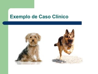 Exemplo de Caso Clínico 