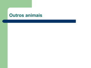 Outros animais 