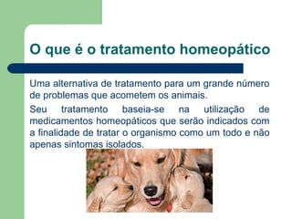 O que é o tratamento homeopático Uma alternativa de tratamento para um grande número de problemas que acometem os animais. Seu tratamento baseia-se na utilização de medicamentos homeopáticos que serão indicados com a finalidade de tratar o organismo como um todo e não apenas sintomas isolados. 
