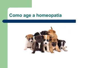 Como age a homeopatia 
