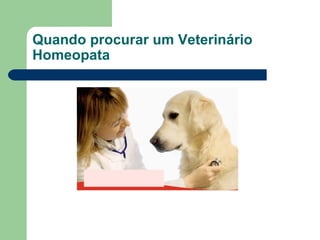 Quando procurar um Veterinário Homeopata 
