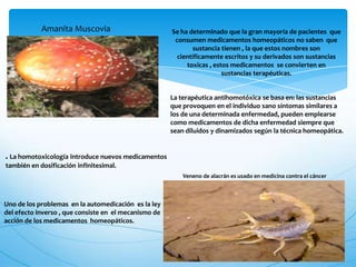 Se ha determinado que la gran mayoría de pacientes que
consumen medicamentos homeopáticos no saben que
sustancia tienen , la que estos nombres son
científicamente escritos y su derivados son sustancias
toxicas , estos medicamentos se convierten en
sustancias terapéuticas.
Uno de los problemas en la automedicación es la ley
del efecto inverso , que consiste en el mecanismo de
acción de los medicamentos homeopáticos.
Amanita Muscovia
La terapéutica antihomotóxica se basa en: las sustancias
que provoquen en el individuo sano síntomas similares a
los de una determinada enfermedad, pueden emplearse
como medicamentos de dicha enfermedad siempre que
sean diluidos y dinamizados según la técnica homeopática.
Veneno de alacrán es usado en medicina contra el cáncer
. La homotoxicología introduce nuevos medicamentos
también en dosificación infinitesimal.
 