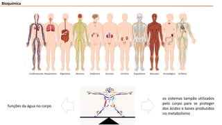 Bioquímica
funções da água no corpo
os sistemas tampão utilizados
pelo corpo para se proteger
dos ácidos e bases produzidos
no metabolismo
 