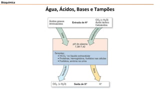Bioquímica
Água, Ácidos, Bases e Tampões
 
